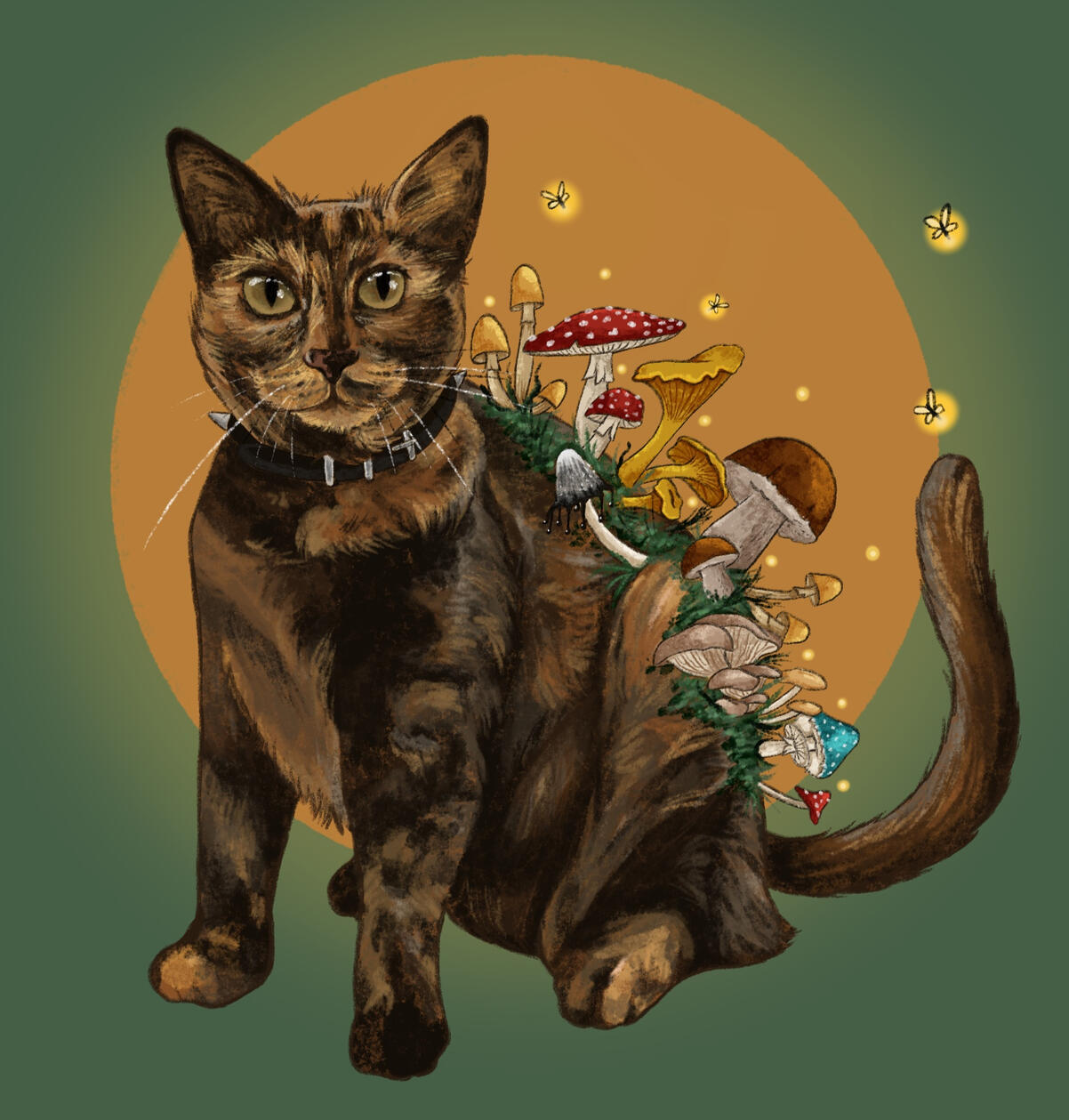 Pet Portrait